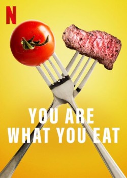 Download You Are What You Eat: A Twin Experiment (Season 1) Complete Hindi Dubbed Netflix Series HDRip 1080p | 720p | 480p [1GB] download