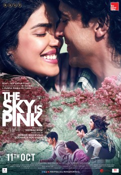 Download The Sky Is Pink 2019 WEB-DL Hindi ORG 5.1 1080p | 720p | 480p [450MB] download